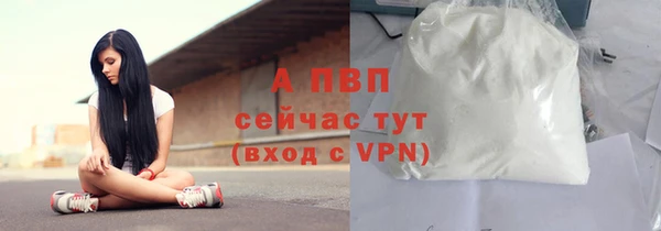 спайс Лагань