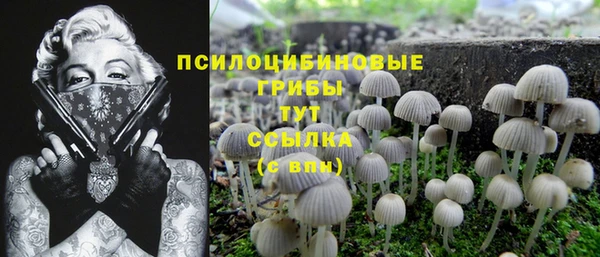спайс Лагань