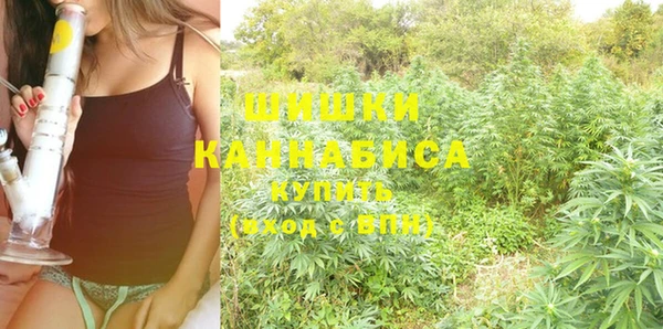 спайс Лагань